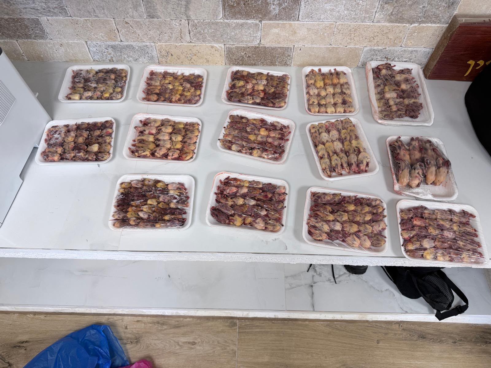 חשד לציד וסחר באלפי ציפורי שיר מוגנות האסורות למאכל
